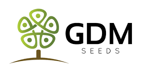 GM Seeds